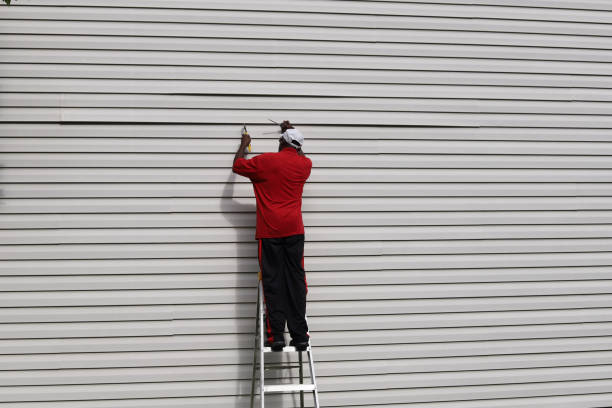 Best Vinyl Siding Installation  in Henderson, KY